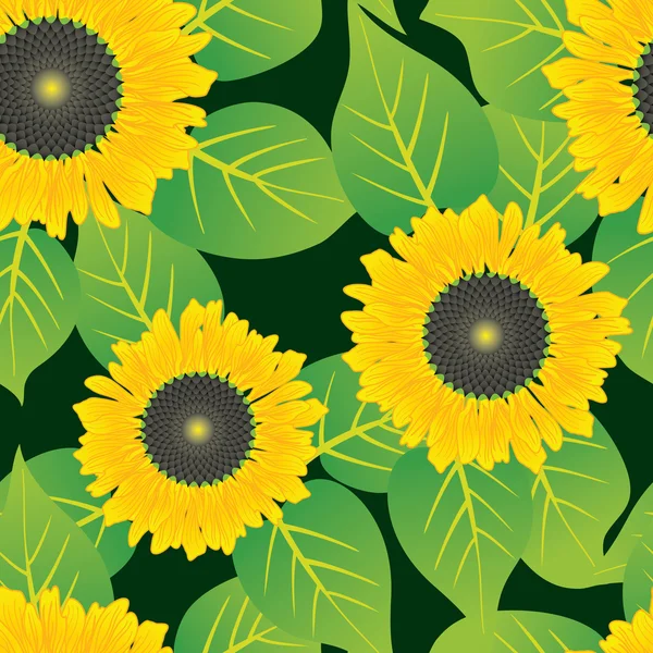 Abstract sunflowers flowers background.