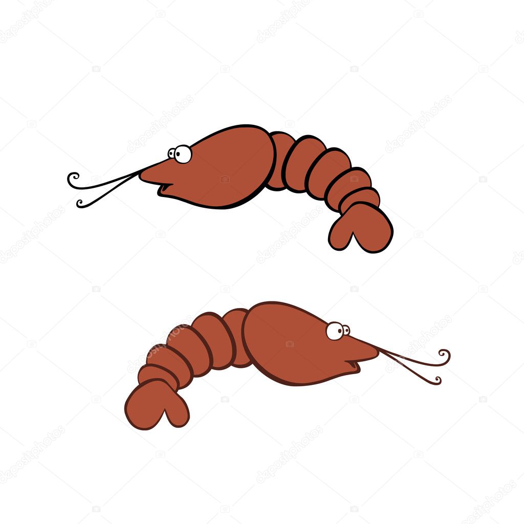 Cartoon Shrimp Pics