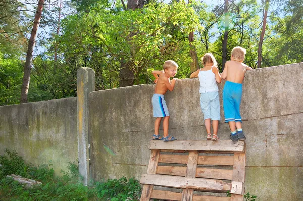 Curious children spying over the fence