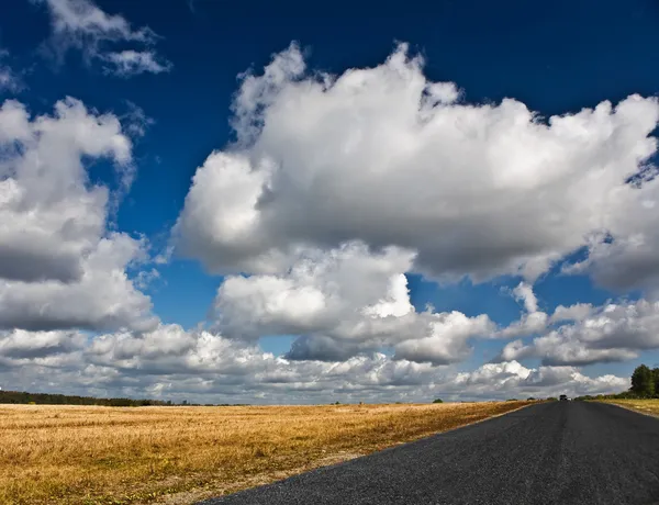 Road on the autumn field with cloudy sky