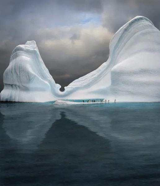 Iceberg is swimming pool for penguins
