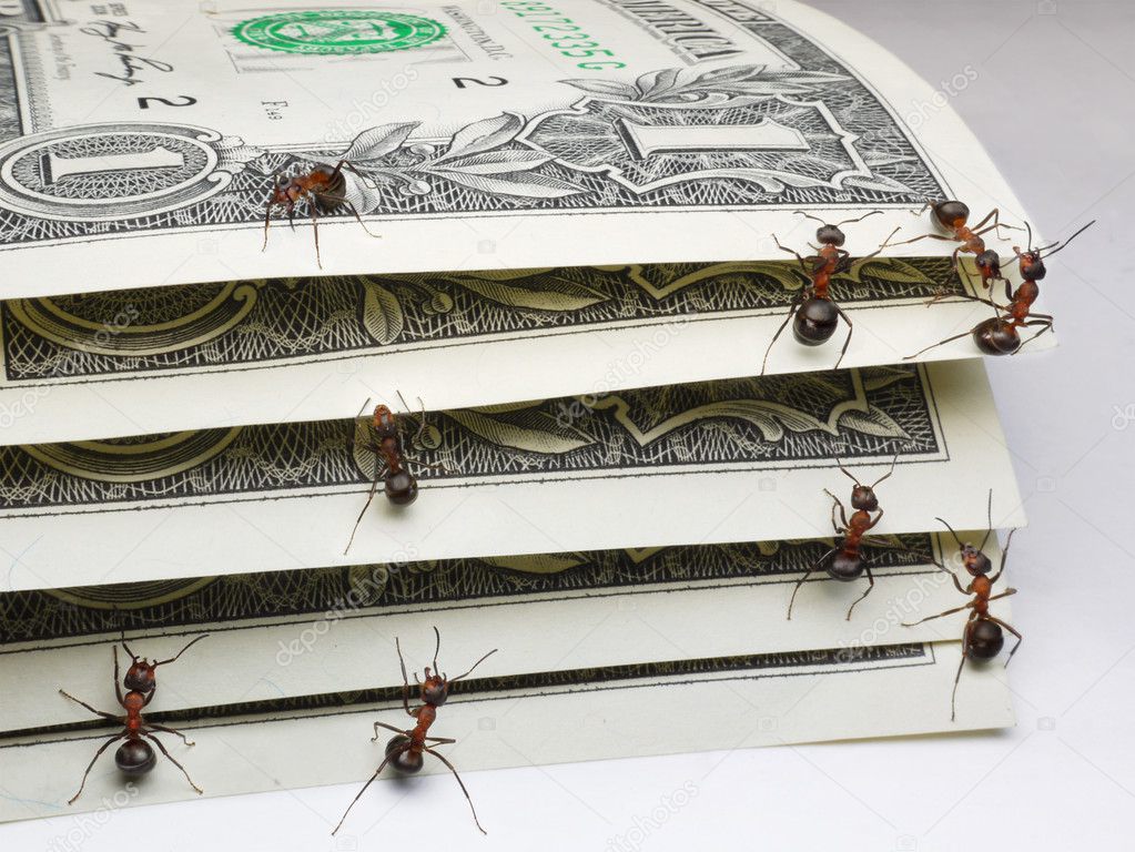 depositphotos_1013880-Ants-counting-dollars.jpg
