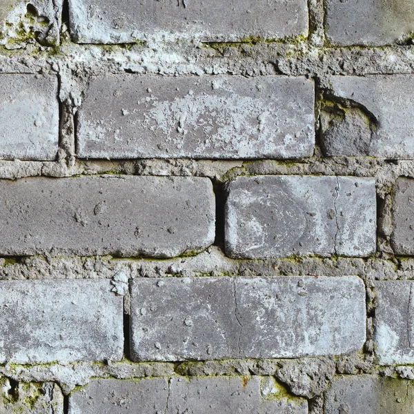 Seamless background - moldy brick wall
