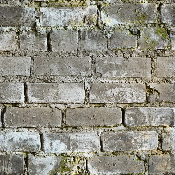 Seamless texture dirty moldy brick wall