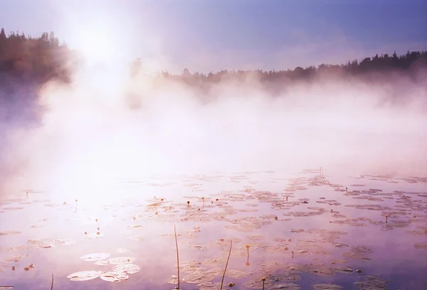 Morning fog on wild forest lake in Karel