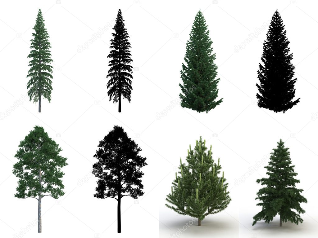 Mega pack trees — Stock Photo © 3dimentii #1008407