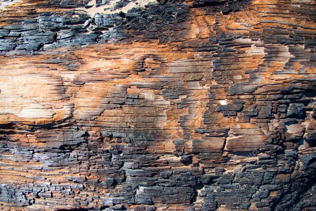 Burned Wood — Stock Photo © Points #1023494