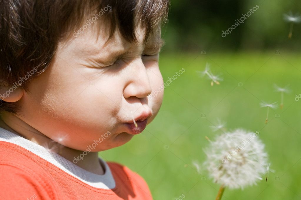 child blowing dandelion