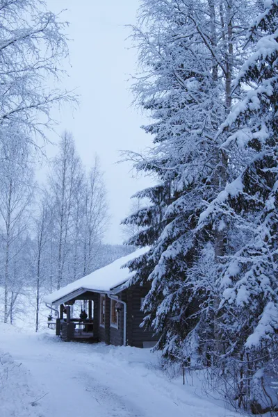 Wooden cottage in winter forest covered by snow