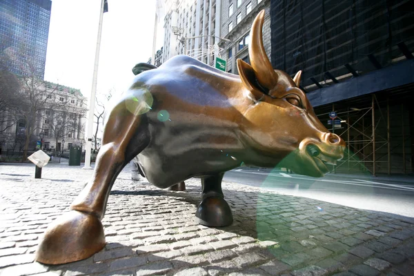 The landmark Charging Bull in Lower Manhattan represents the strength and power of the American