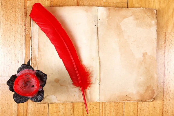 Vintage Book with red feather