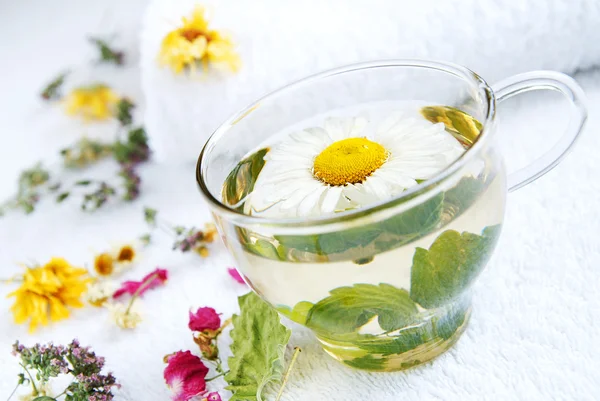 Camomile-mint herbal tea