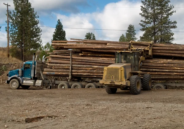 Logging truck being unloaded