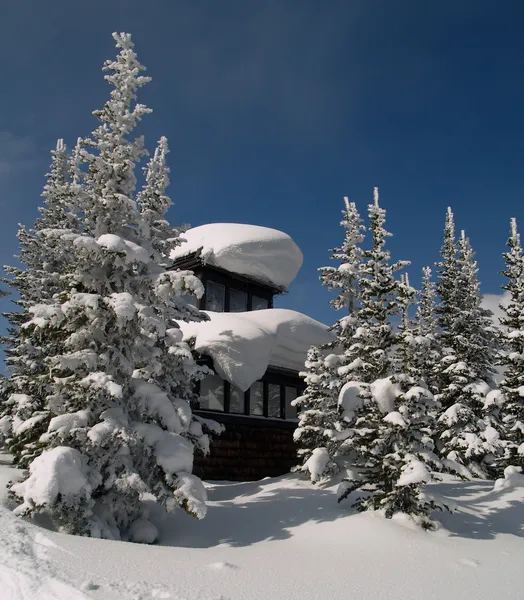 Old winter forest fire lookout