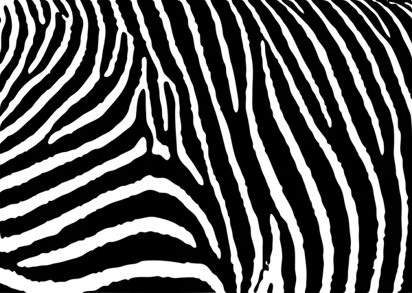 Zebra pattern large