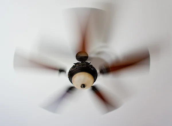 Fan Spinning