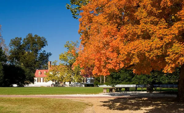 Old white house framed by autumn fall le