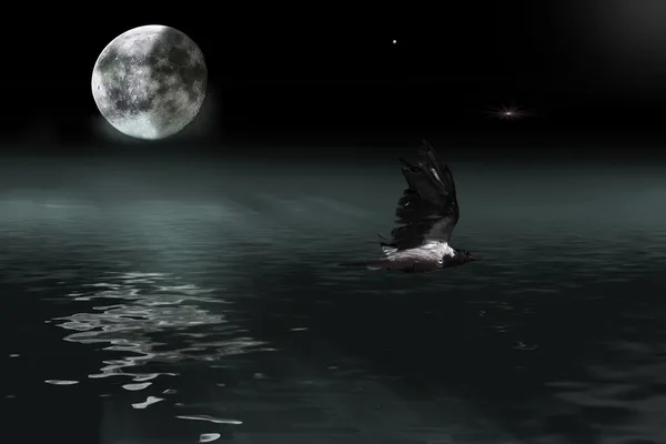 moon and crow