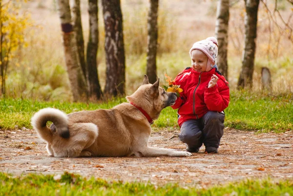 Little girl playing with her dog