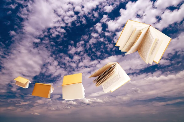 Flock of books flying on blue sky
