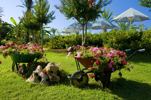 Decorative flower garden