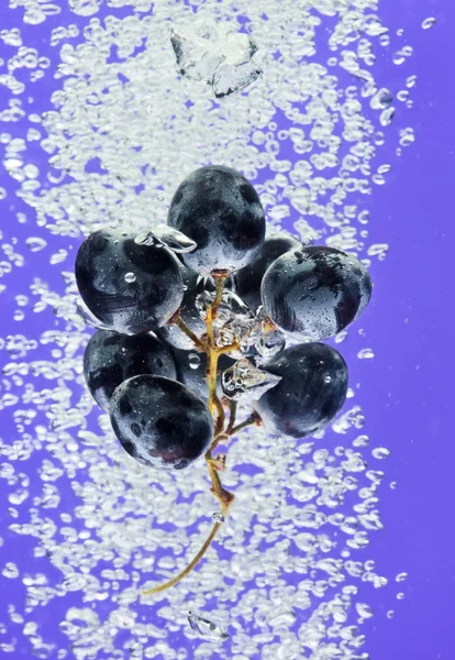 Bunch of grapes floating in water