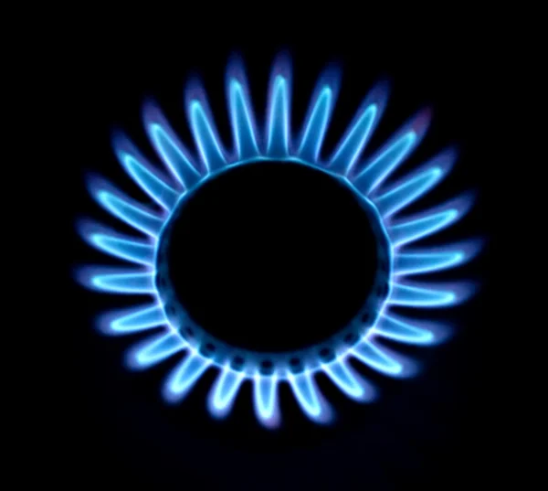 Blue fire of a gas cooker