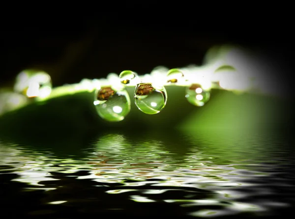 water drop background images. Water drop background. Add to Cart | Add to Lightbox | Big Preview