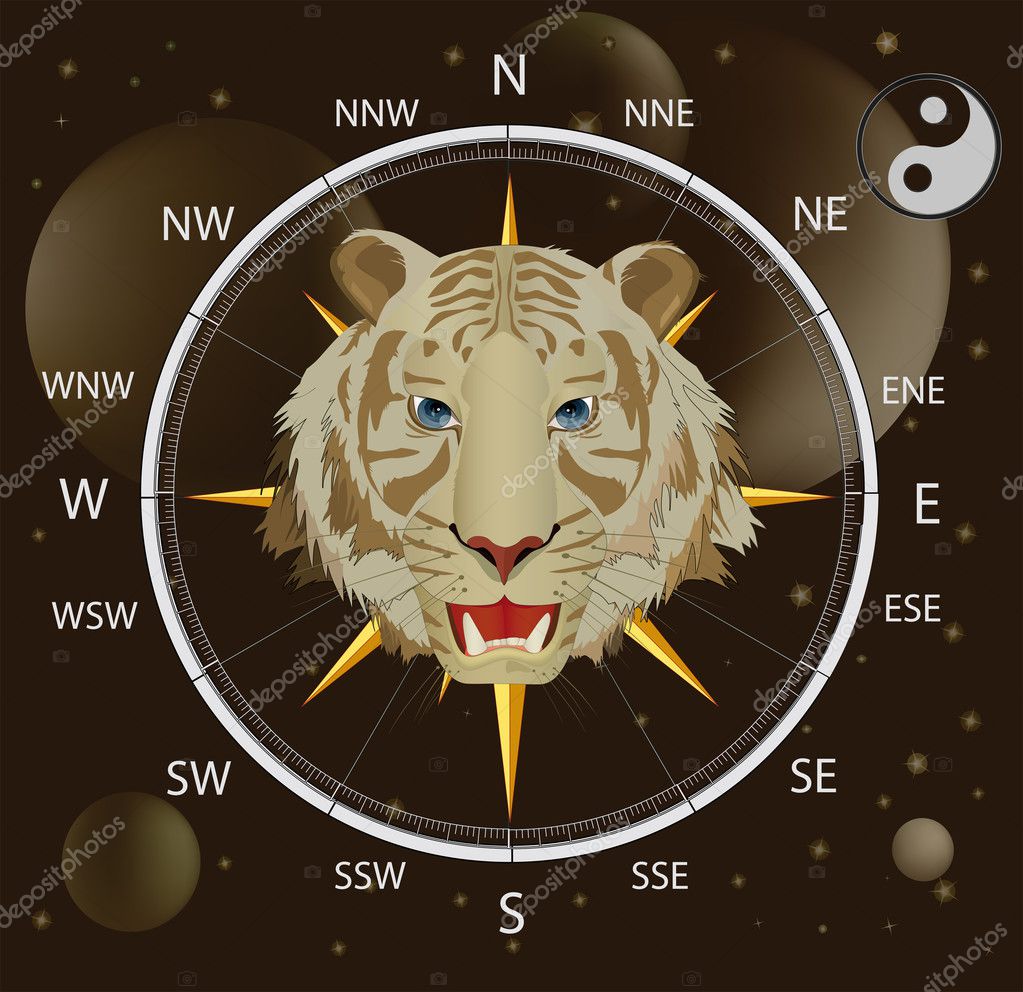 depositphotos_1407289-Compass-a-wind-rose-and-a-tiger.jpg
