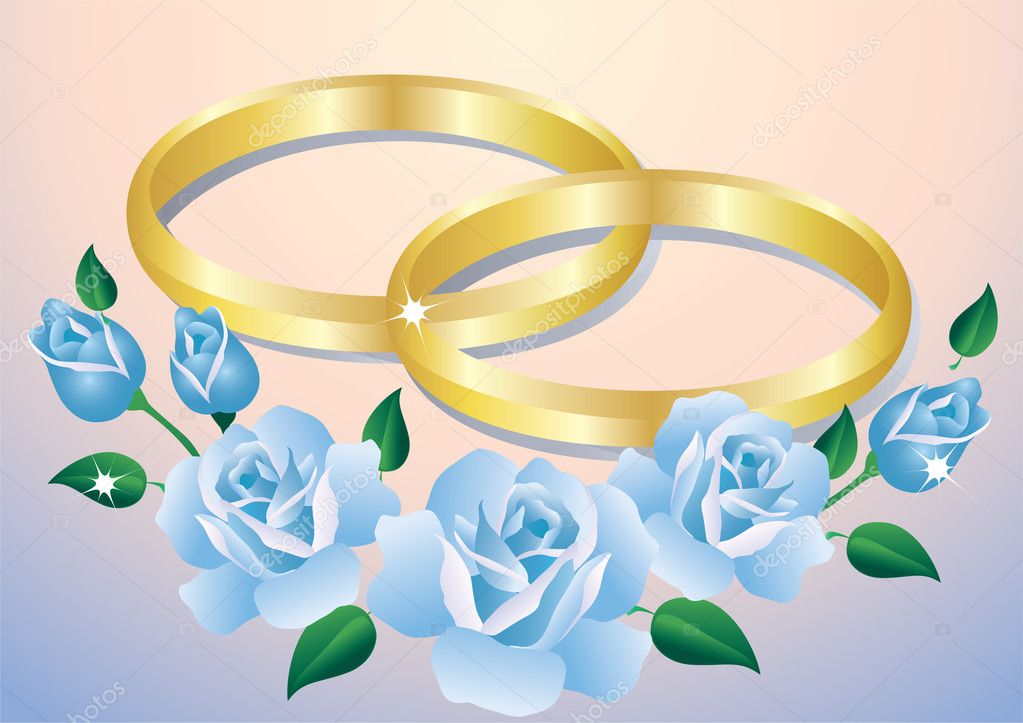 Wedding rings and blue roses in pink and blue background Vector