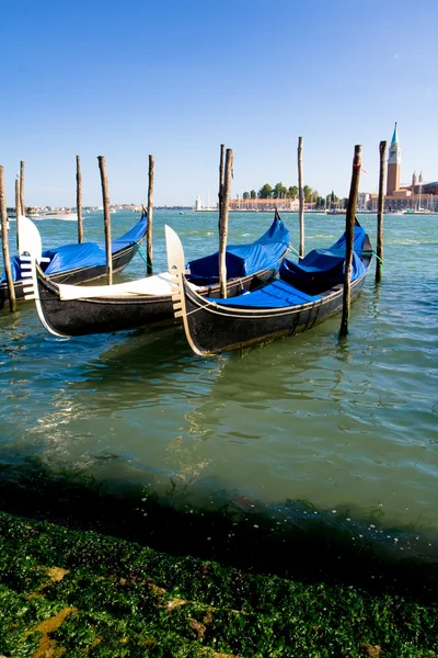 Gondolas of Venice. Italy — Stock Photo #1153239