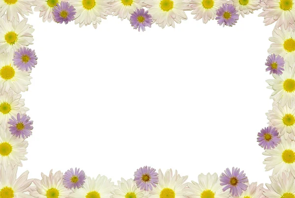 Flower Frame Images
