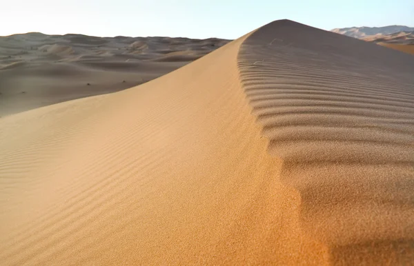Dune Background