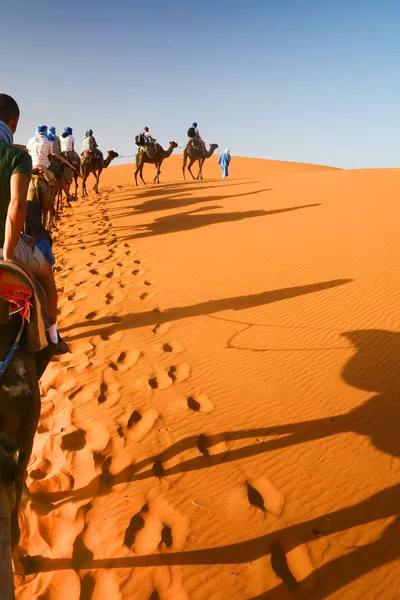 Camel caravan going through the sand