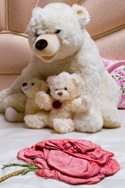 Soft toy bear — Stock Photo #2250716