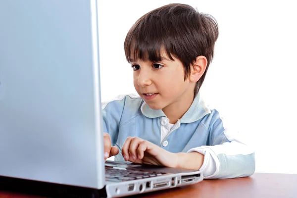 Cute caucasian kid working in laptop