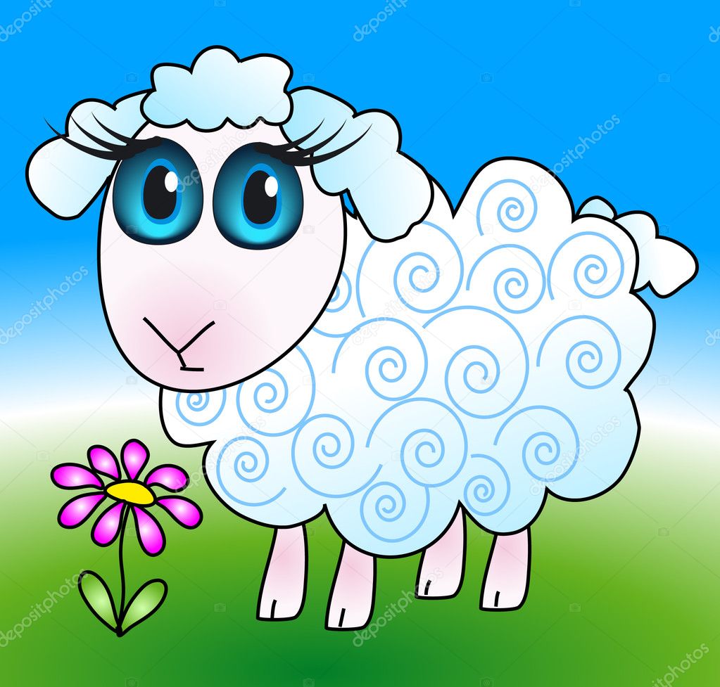 Cute Sheep Pictures