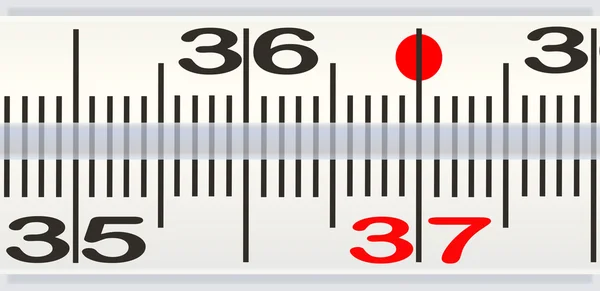 Scale of thermometer