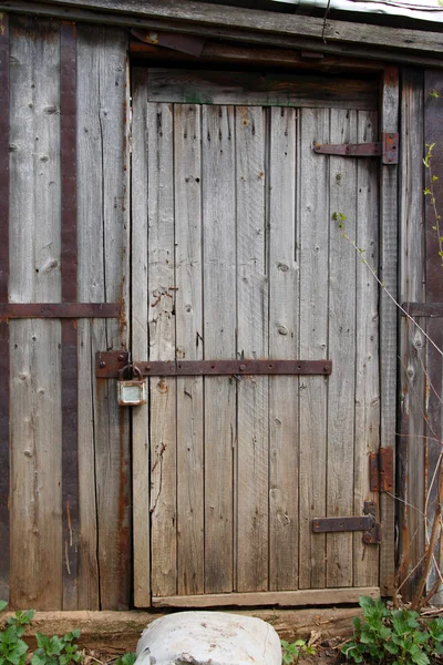 Closed wooden door of old shed