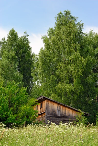 Old shed on the fringe of the forest