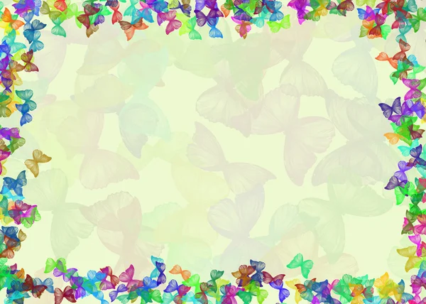 Butterfly Backgrounds on Butterfly Background   Stock Photo    Parfta  1113917
