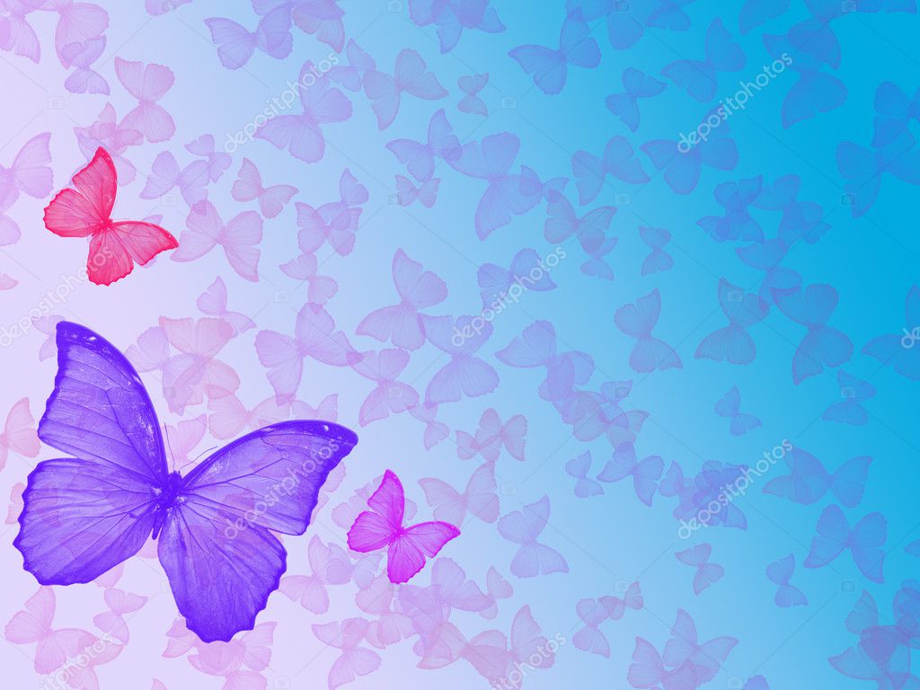 Butterfly Frame Vector - 6920122 : Shutterstock