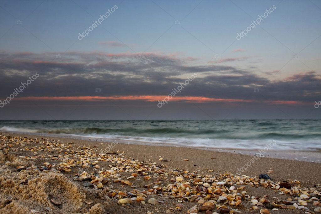 Beach With Seashells