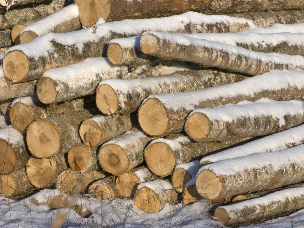 Image Of Log