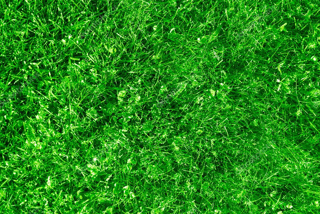 natural grass