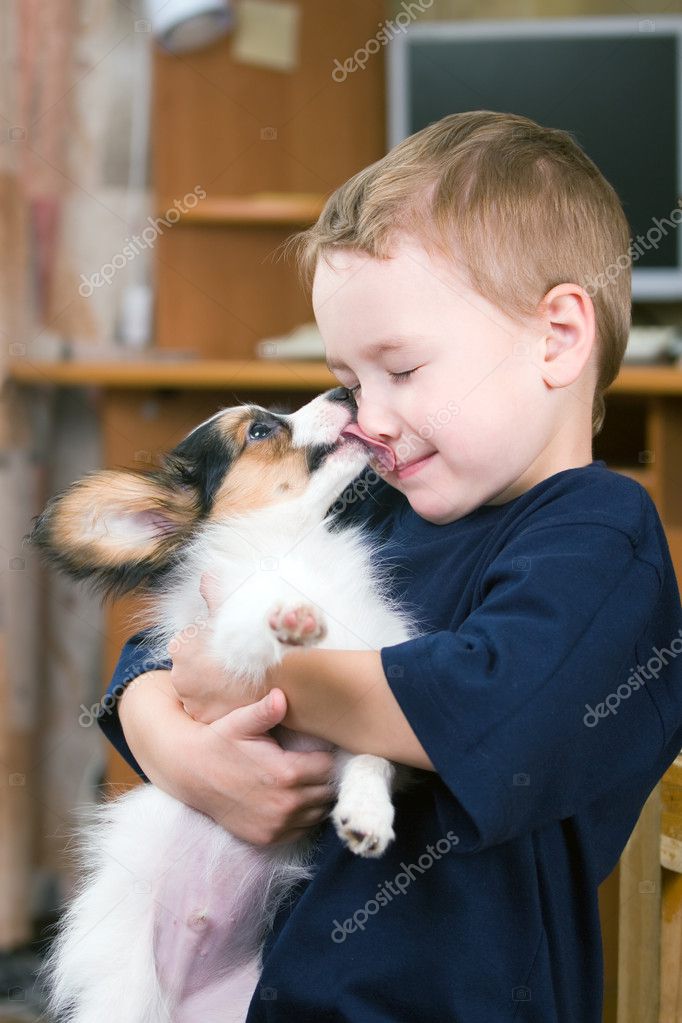 A little dog licking a young
