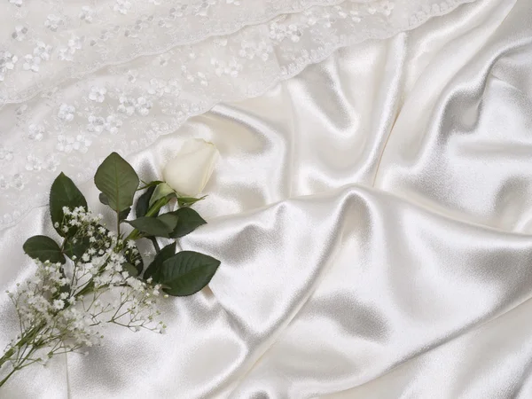 White rose on a background white silk