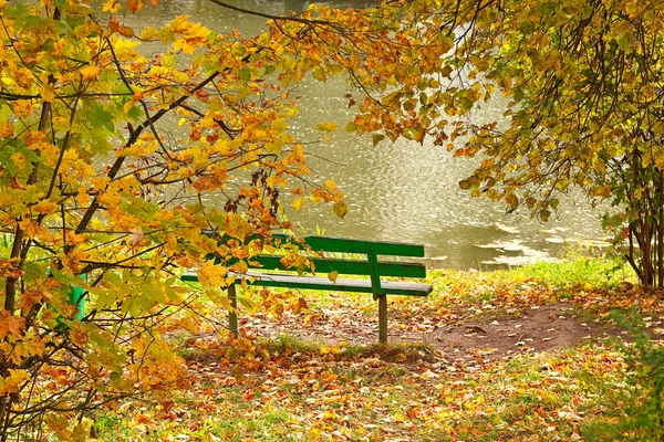 Green bench on the bank of the pond