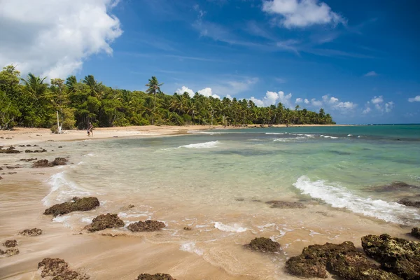 Atlantic Ocean Coast