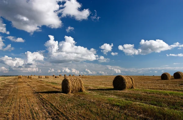 Hay roll and clouds